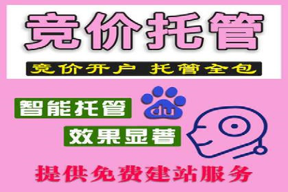某行业SEM竞价专员的成功策略与经典案例